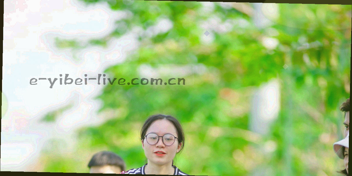 按入口状态、设备型号、系统版本、网络环境依次排查的抽象流程图
